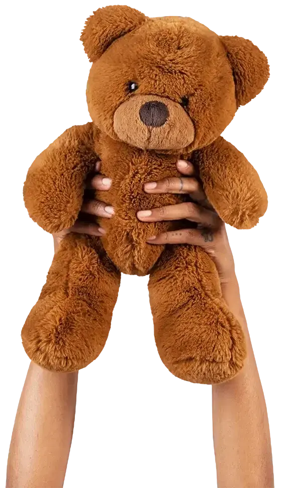Hands holding brown teddy bear plush toy